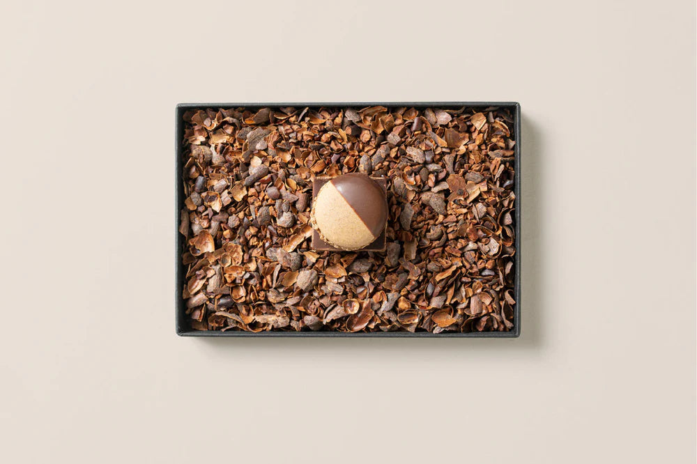 MAMEIL NAMA CHOCOLATE MACARON - Chocolate / Pistachio / Coffee / Blood orange -(6個入)